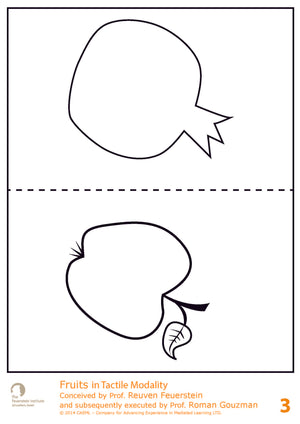 Tactile - Fruits