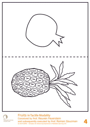 Tactile - Fruits